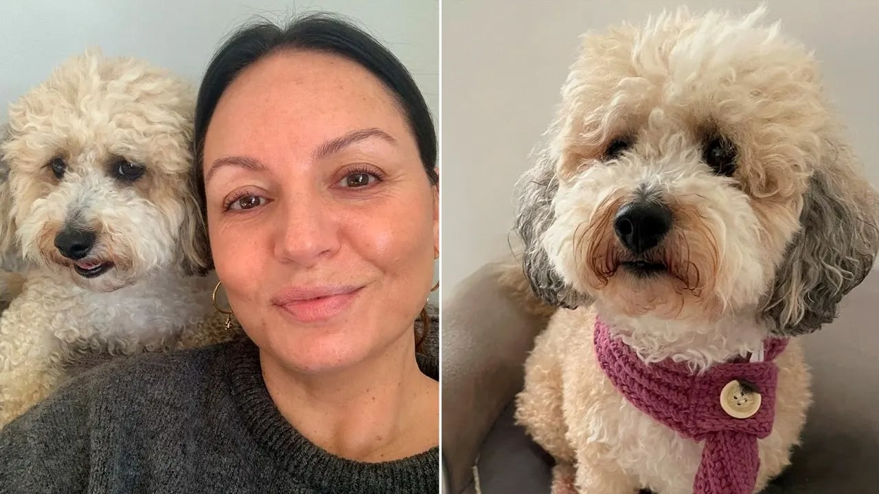 Fox News image for Woman’s cancer battle takes unbelievable turn when her dog gets same diagnosis - Fox News