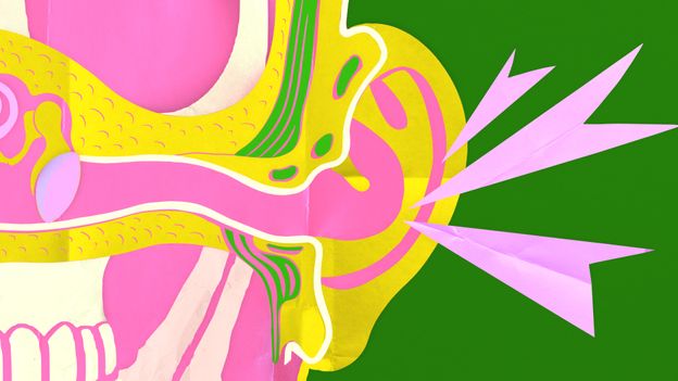 BBC News image for 'Once it's gone, it's gone': How to future-proof your hearing - BBC