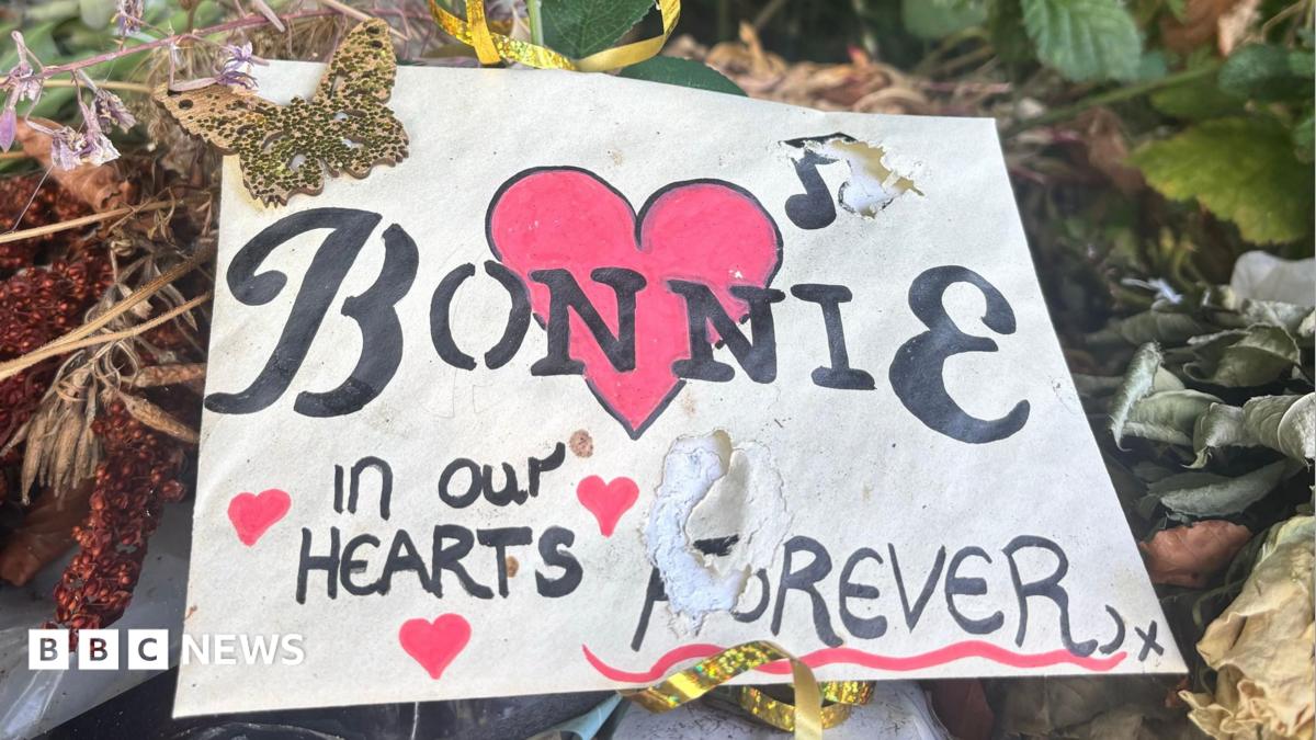 BBC News image for Bonnie Tyler's celebration of life attended by fans in Mumbles