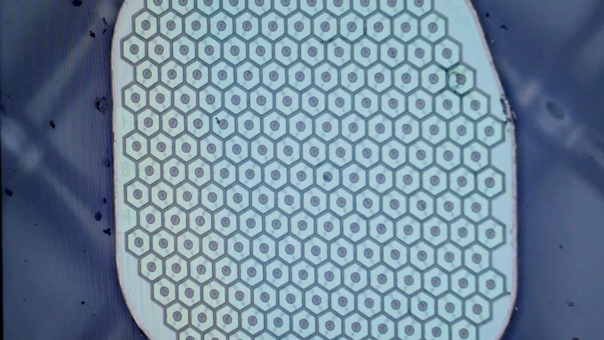 TechCrunch image for Max Hodak’s Science Corp. is preparing to place its first sensor in a human brain - TechCrunch