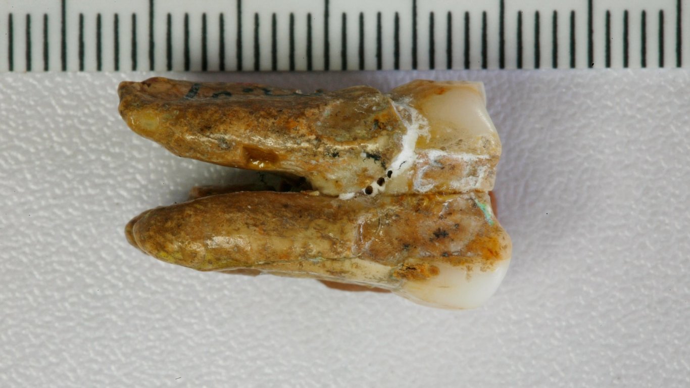 Abcnews.com image for Ancient teeth hint at canoodling between early human relatives - ABC News - Breaking News, Latest News and Videos