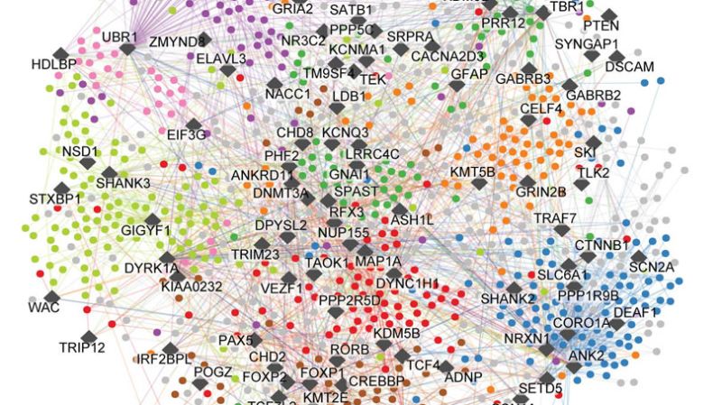 CNN image for Largest ever ‘map’ of autism may hold clues for new targeted therapies - CNN