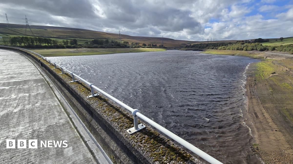 BBC News image for Drought declared in Yorkshire after dry weather