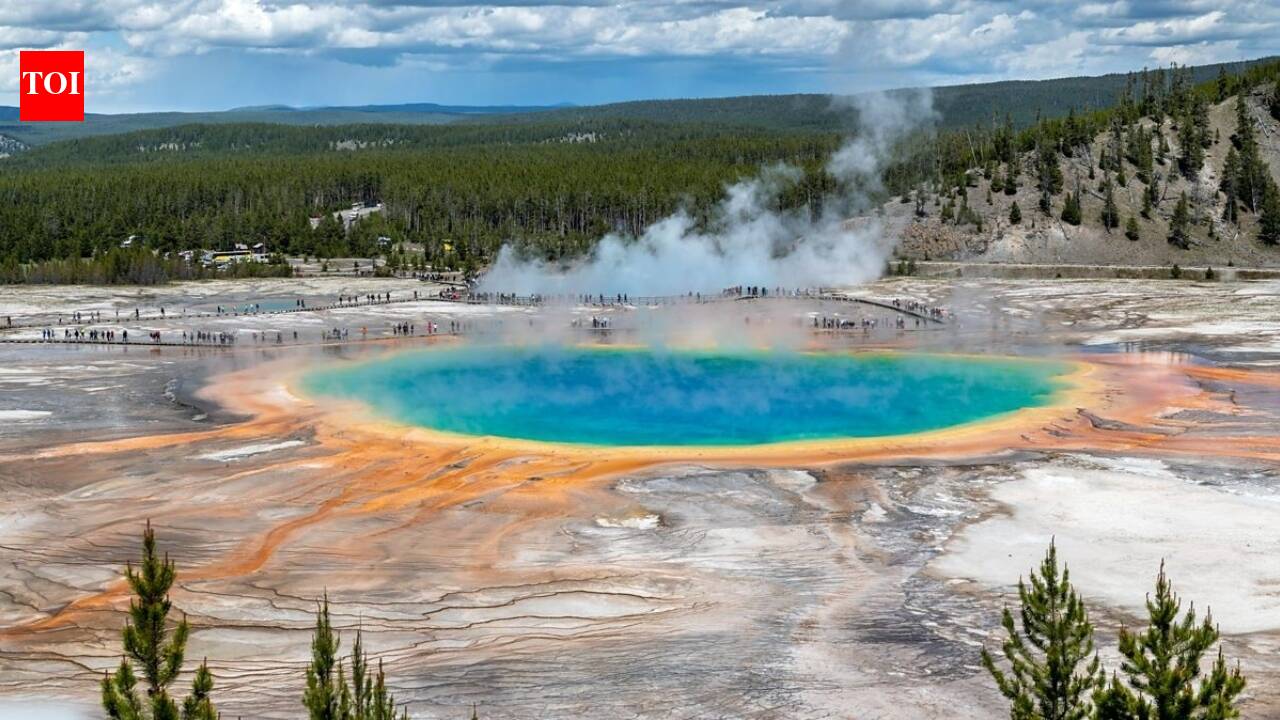 The Times of India image for Can a volcano trigger the end of humanity? What would happen if Yellowstone supervolcano erupted now? - The Times of India