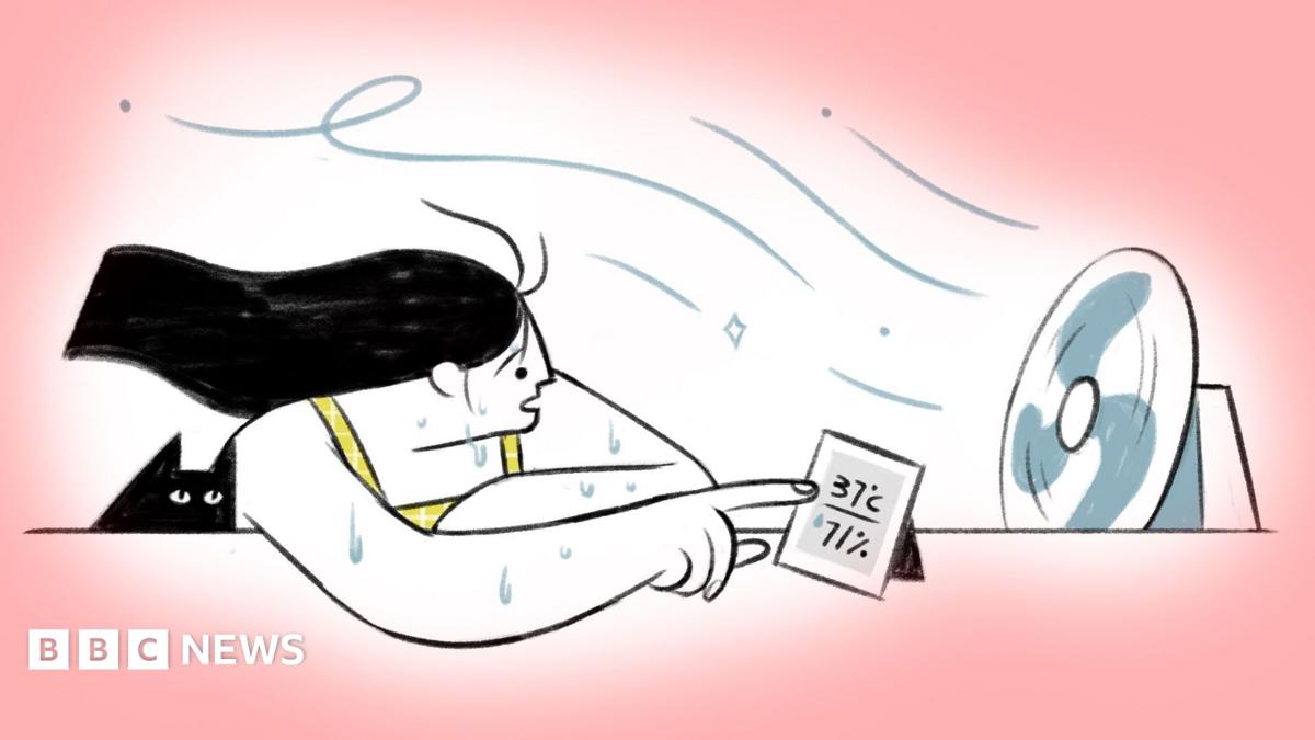 BBC News image for Fan tips: Experts advise how best to use yours during a heatwave