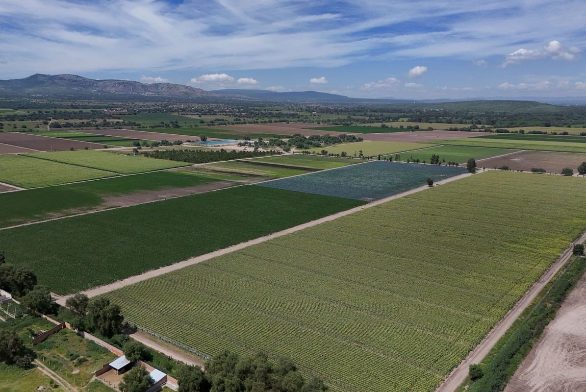 The Washington Post image for FDA in Mexico a month after linking Taylor Farms to cyclospora outbreak - The Washington Post