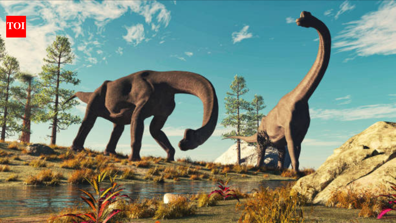 The Times of India image for Scientists discover what color dinosaurs actually were - The Times of India