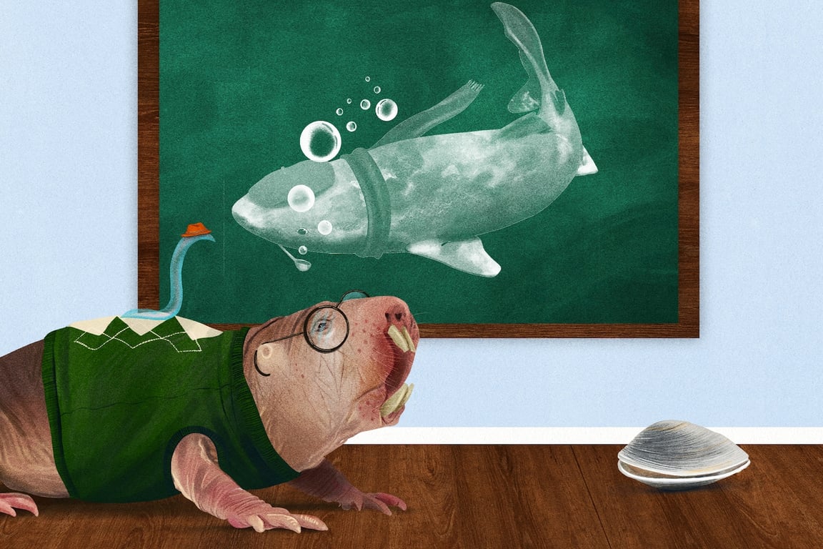 The Washington Post image for What Earth’s longest-lived animals can teach us about aging better - The Washington Post