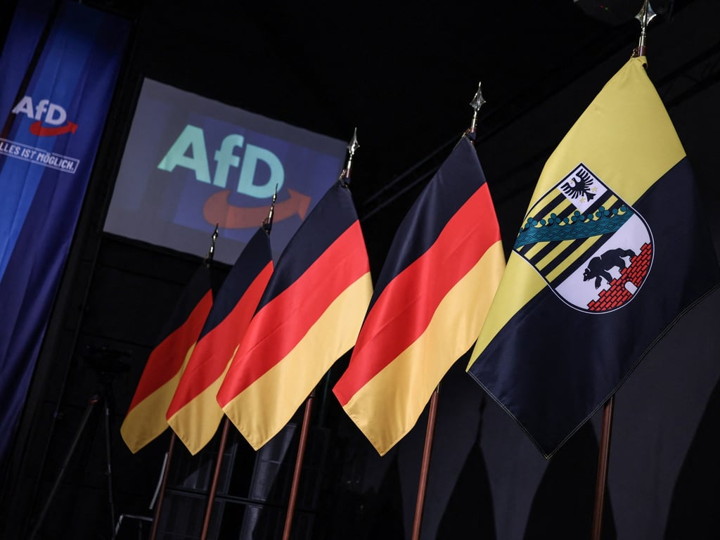 Al Jazeera English image for German far-right AfD wins Saxony-Anhalt election, falls short of majority - Al Jazeera