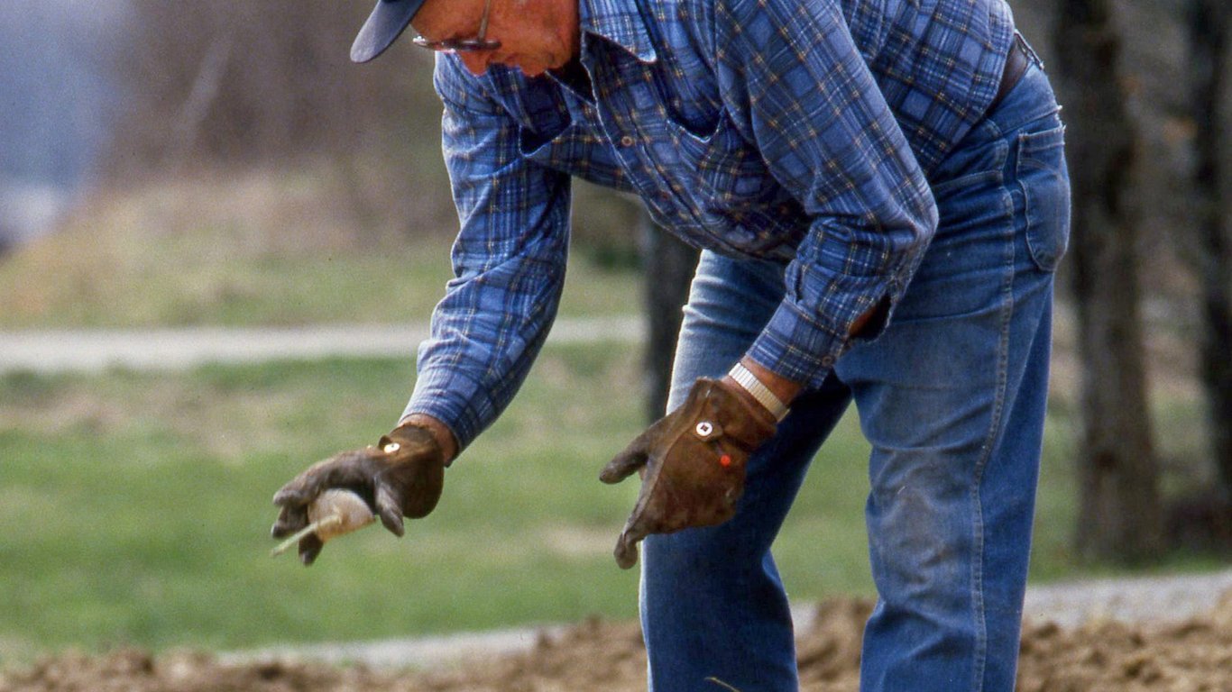 USA Today image for Florida cities sweep top 3 places for retirees in 2026 - USA Today