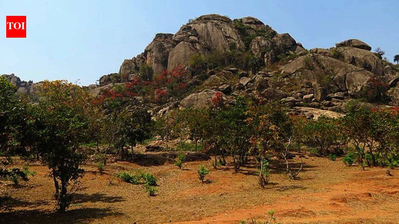 The Times of India image for Oldest evidence of life on Earth has been discovered in India: A 3.4 billion-year-old layered rock shows - The Times of India
