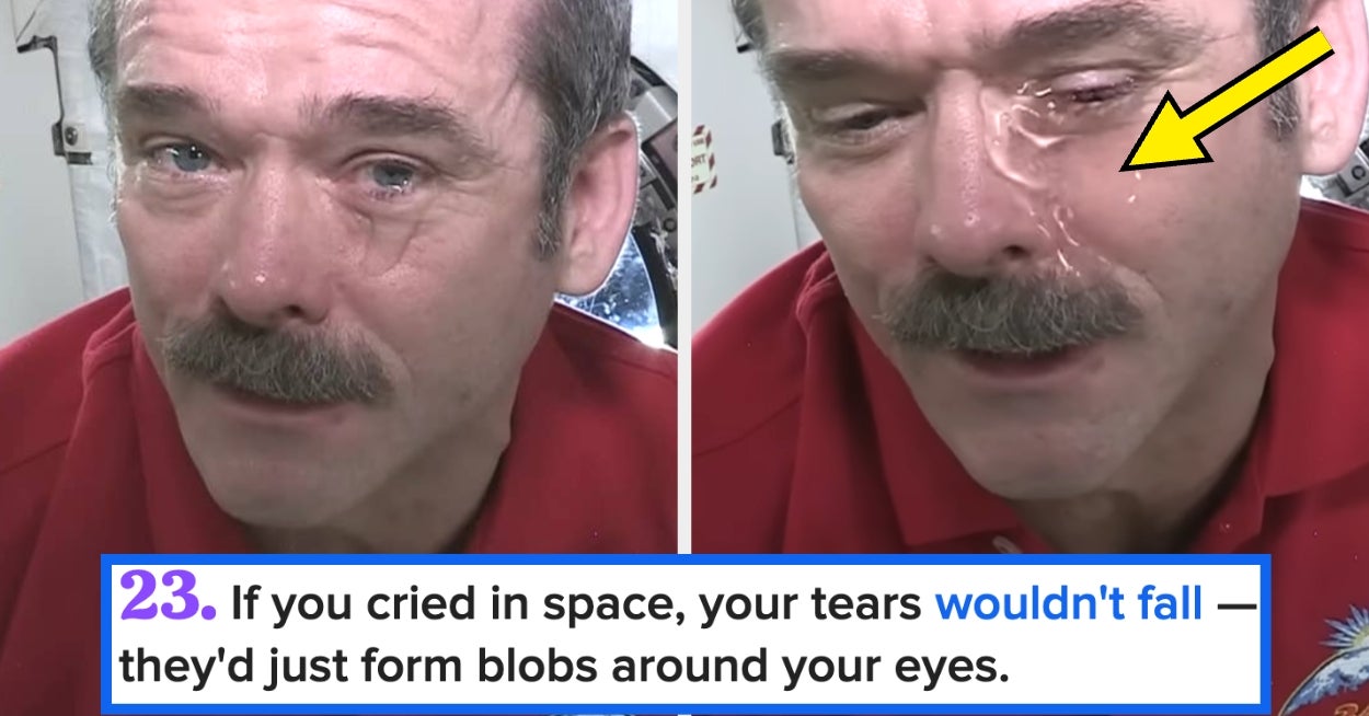 Buzzfeed image for Just 34 Freakin’ Cool, Mind-Blowing Facts About Space - BuzzFeed