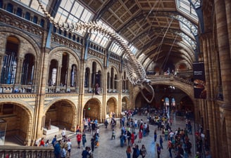 Visita al museo Immerse Education en Londres