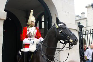 Immerse education Londres tour guardias reales