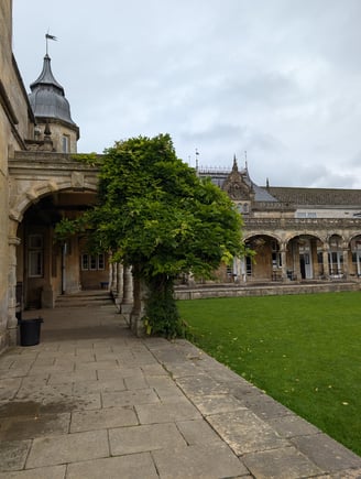 Césped de la biblioteca (4)