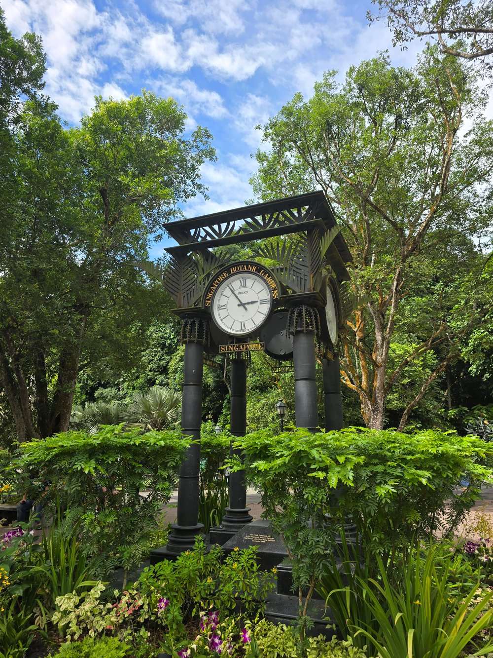 Software Development & AI Summer Programme in Singapore