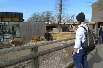 10548175_10155348236285422_408164960794393706_o