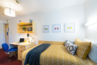 51324176138_305aac43d5_o