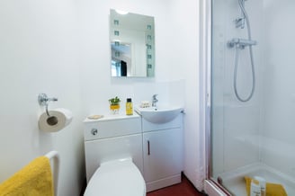 51324176423_36cce99541_o