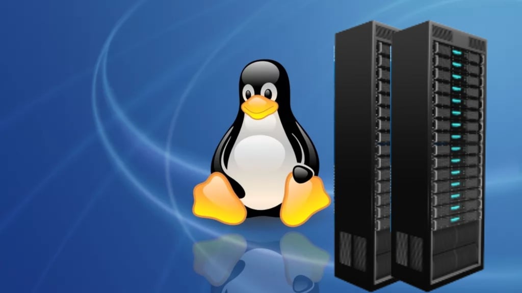 Linux VPS Server
