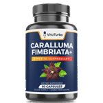 NEW-Caralluma–106-V4R0