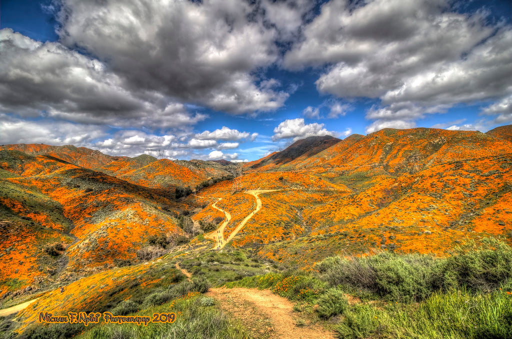 Canyon Lake, CA