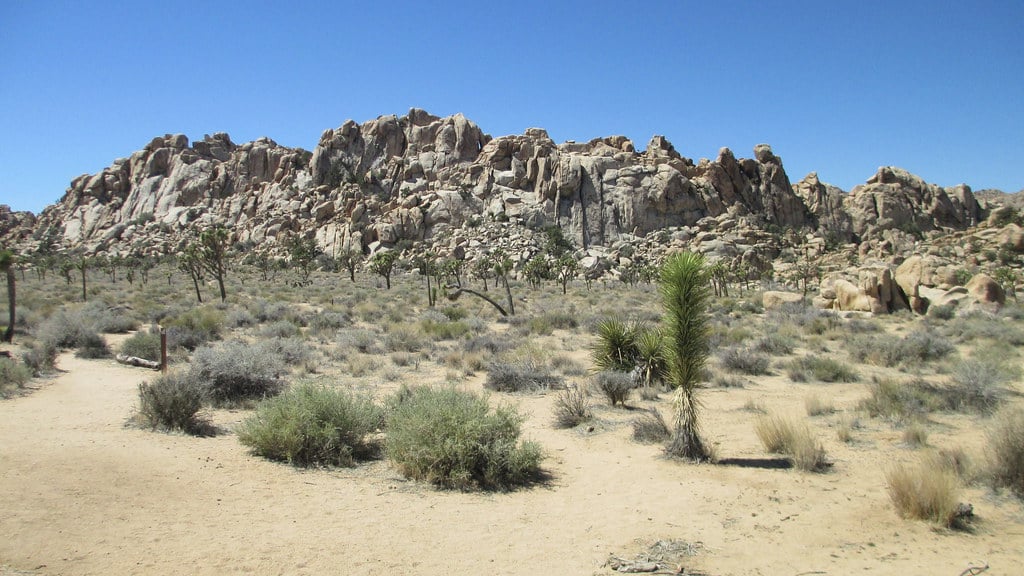 Desert Edge, CA