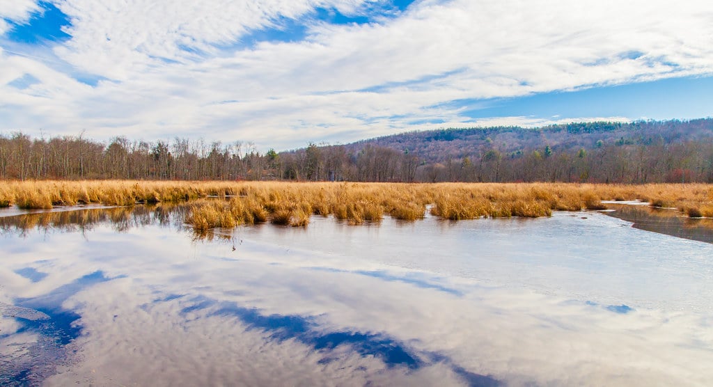 Heavy equipment repair and land clearing services in Hurleyville, NY