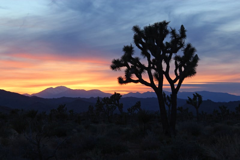 General contractor services in Joshua Tree, CA