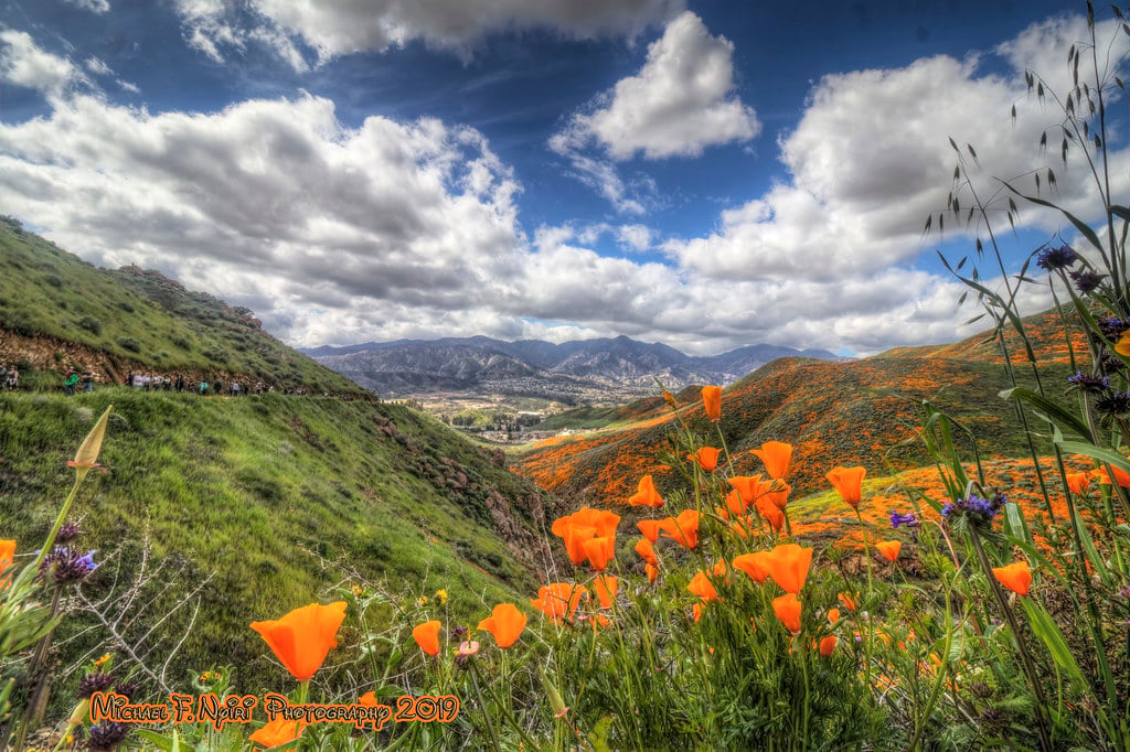 Lake Elsinore, CA