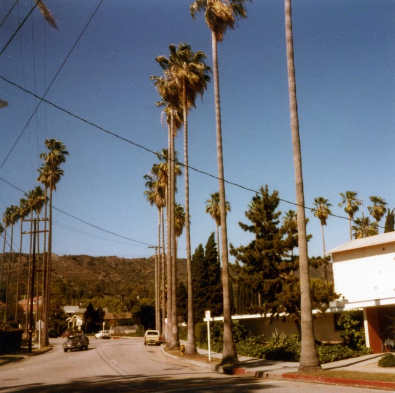 Maywood, CA