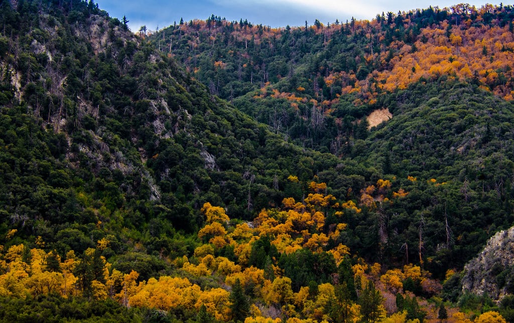 Mentone, CA