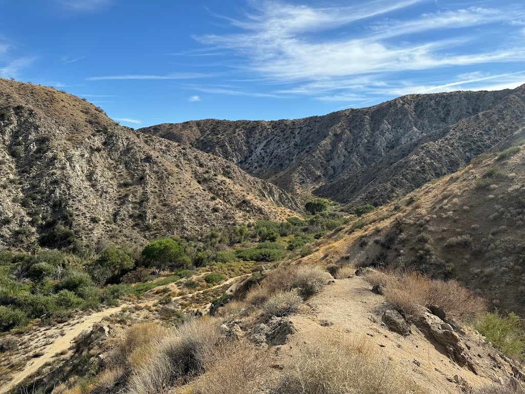 Morongo Valley, CA