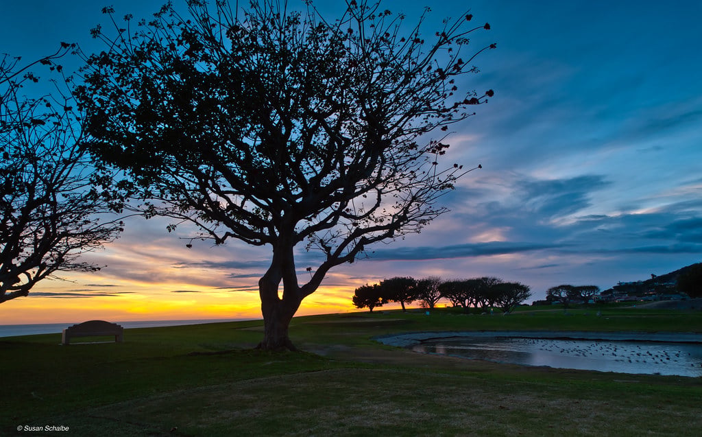 Pepperdine University, CA