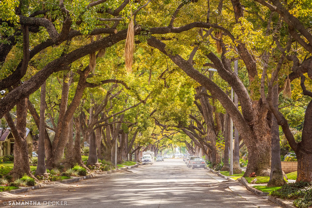 South Pasadena, CA
