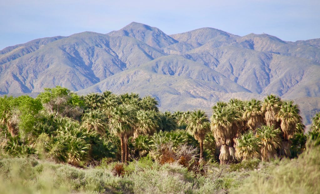 Thousand Palms, CA