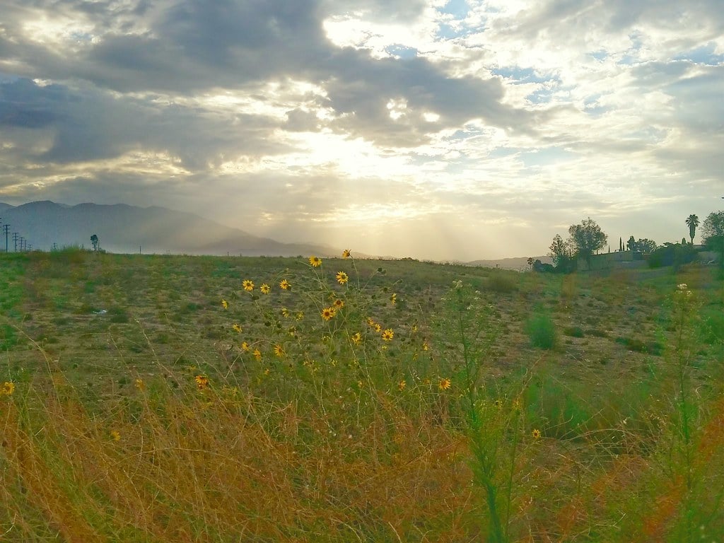 Yucaipa, CA