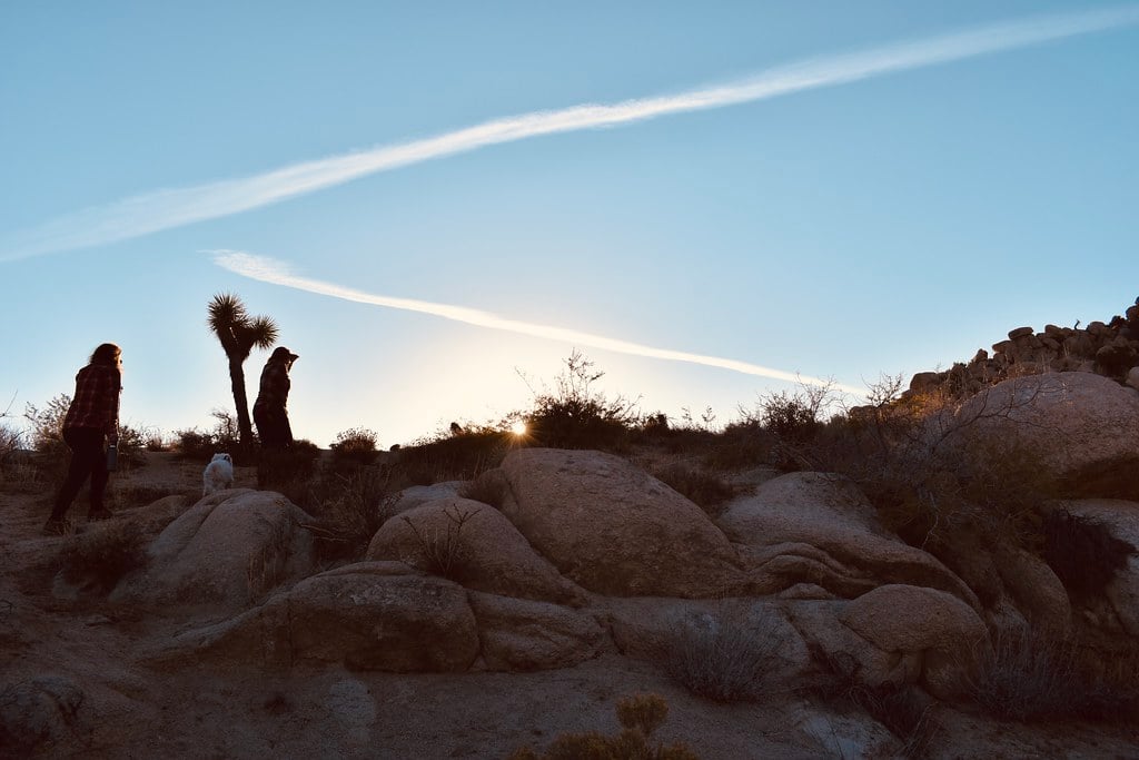 Yucca Valley, CA