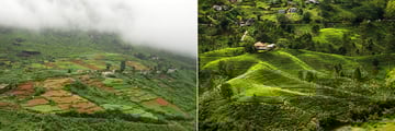 Nuwara Eliya 