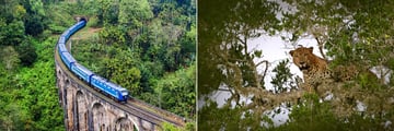 Nine Arches Bridge and Yala National Park