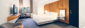 Superior King Guestroom