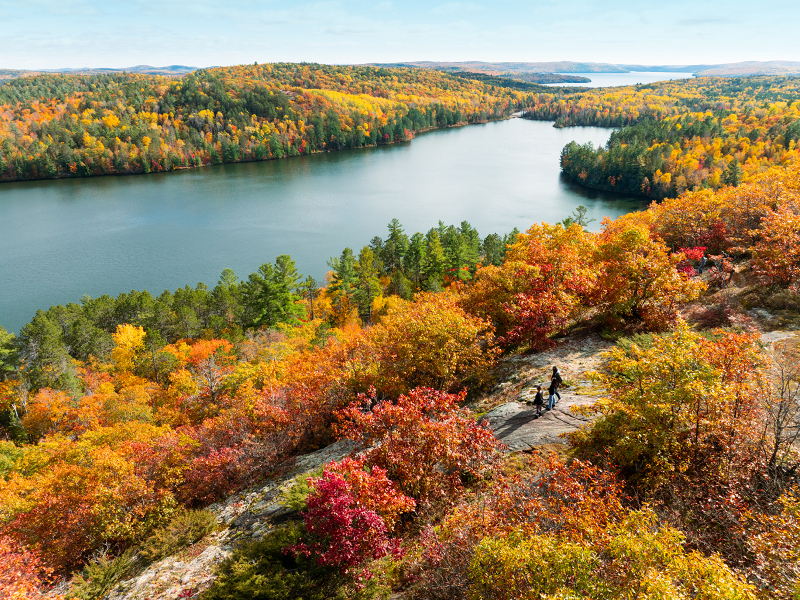autumn colours at spectacle lake in Alongquin