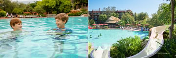 Main pool at Disney's Animal Kingdom Lodge