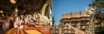 Enjoy a meal at Sanaa restaurant at Disney's Animal Kingdom Lodge
