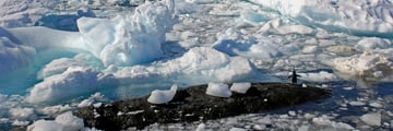 Icebergs in Antarctica