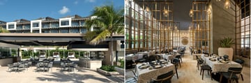 Dining at Atelier Playa Mujeres