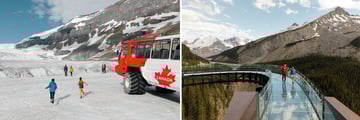 The Athabasca Glacier in Alberta