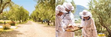 Beekeeping experience at Moka Honey
