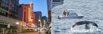 Boston's Theatre District, seasonal whale watching from Boston Harbour