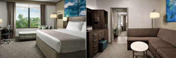 Deluxe King Suite